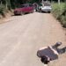 Ladrão furta carro em Sapiranga e acaba preso após perseguição em Parobé