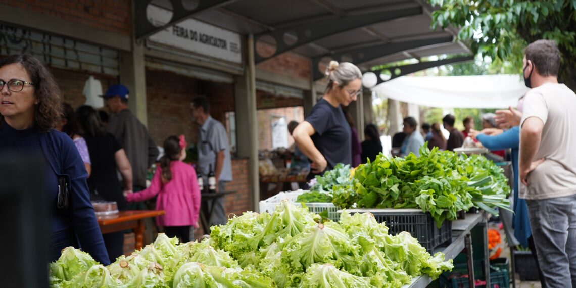 Feira do Agricultor garante produtos naturais todos os sábados para os campo-bonenses