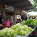 Feira do Agricultor garante produtos naturais todos os sábados para os campo-bonenses