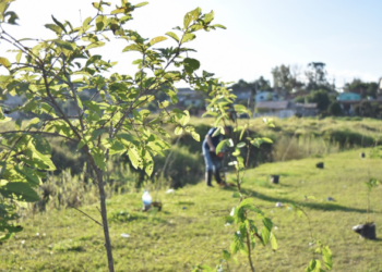Começa a semana do Meio Ambiente em Sapiranga