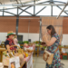 Feira de Orgânicos de Sapiranga acontece nesta quinta-feira