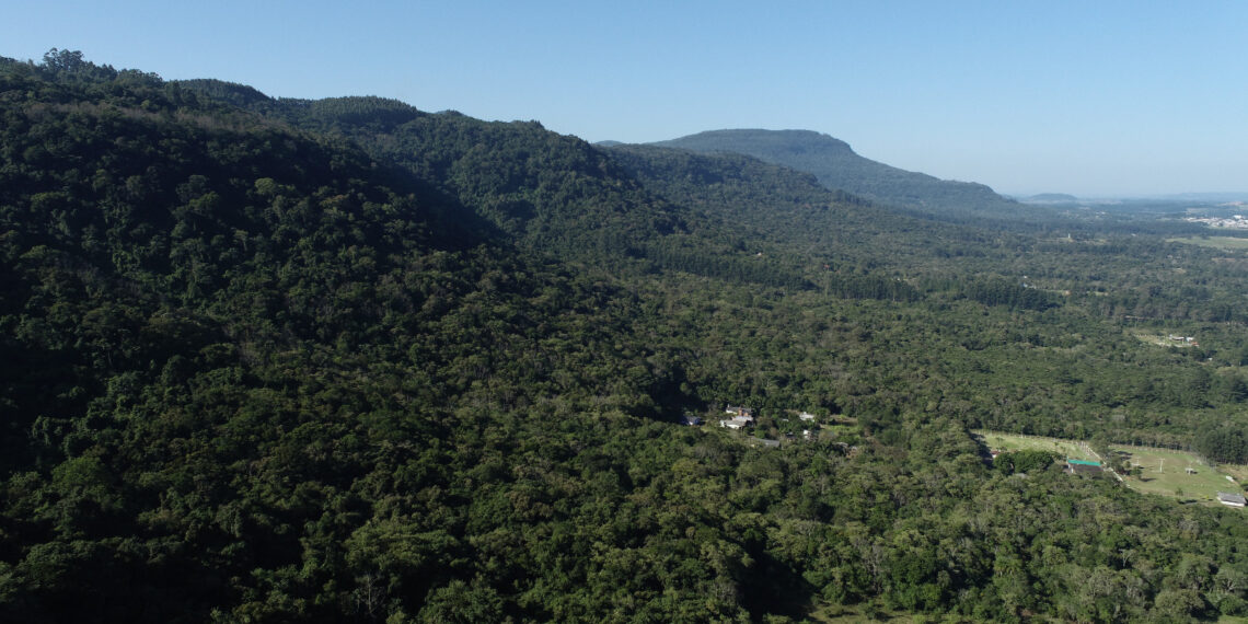 Arie, Recicla Sapi e plantio de árvores integram ações ambientais em Sapiranga