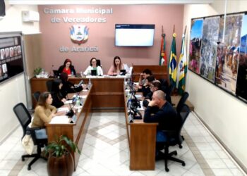 Políticas públicas de proteção às crianças e adolescentes pauta sessão em Araricá