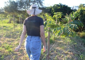 Botanismo é referência em soluções ambientais
