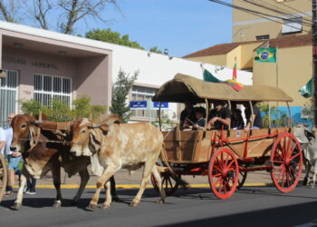 Após estragos do ciclone, Prefeitura de Sapiranga e CDL confirmam cancelamento de eventos