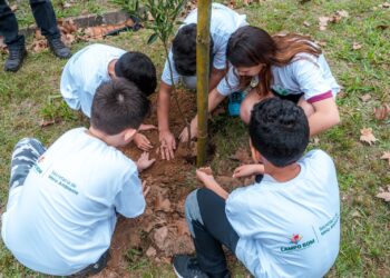 Frutas em espaços públicos da cidade: Pomares Urbanos é novidade em Campo Bom