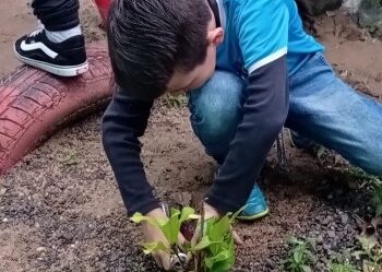 Estudantes sapiranguenses aprendem mais sobre o araçá-piranga