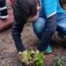 Estudantes sapiranguenses aprendem mais sobre o araçá-piranga