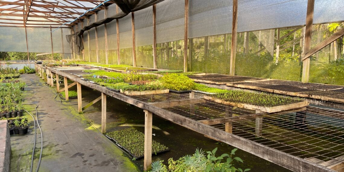 Viveiro Casa Verde; qualidade e variedade de plantas em Campo Bom