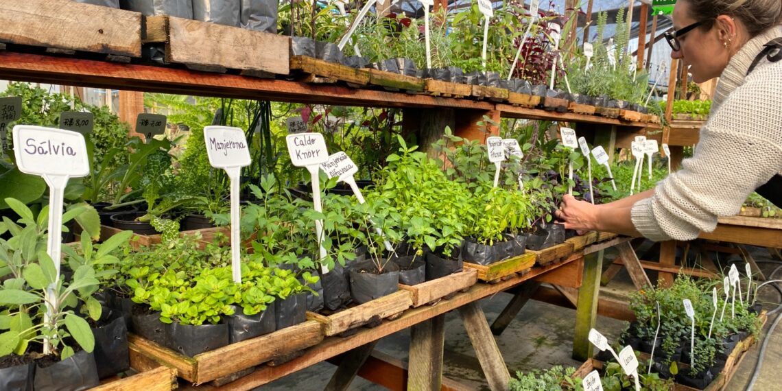 Viveiro Casa Verde; qualidade e variedade de plantas em Campo Bom