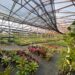 Viveiro Casa Verde; qualidade e variedade de plantas em Campo Bom