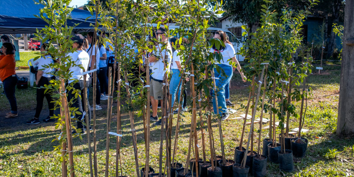Alunos da Emef Emílio Vetter e Emei Sempre Viva participam de plantio de árvores em Campo Bom