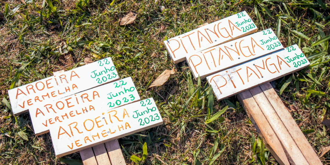 Alunos da Emef Emílio Vetter e Emei Sempre Viva participam de plantio de árvores em Campo Bom