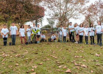 Alunos do 6º ano da Emef Cei de Campo Bom plantam árvores frutíferas no terreno da escola