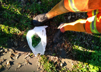 Secretaria de Meio Ambiente de Sapiranga alerta para descarte irregular de cacos de vidros