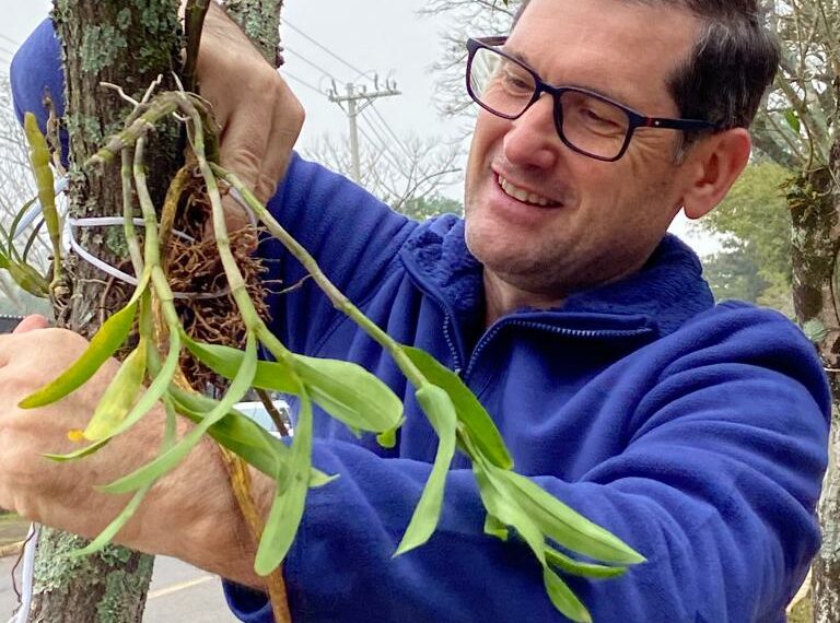 Orquídea Amor e Valor movimenta voluntários na manhã de sábado em Campo Bom