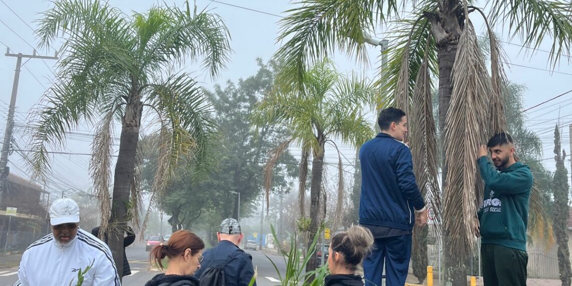 Orquídea Amor e Valor movimenta voluntários na manhã de sábado em Campo Bom