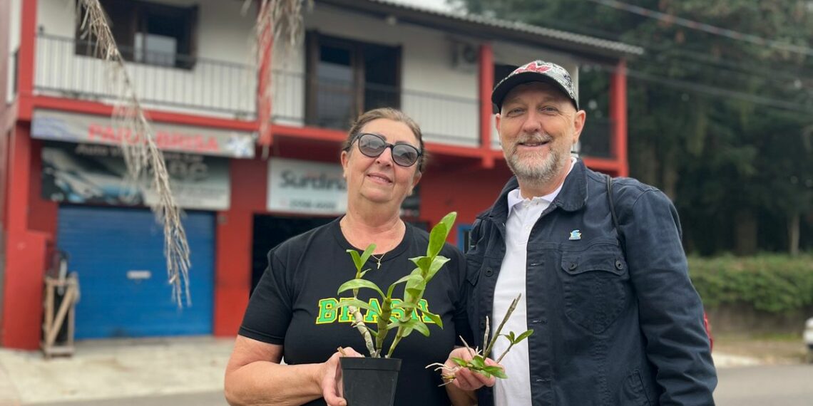 Orquídea Amor e Valor movimenta voluntários na manhã de sábado em Campo Bom