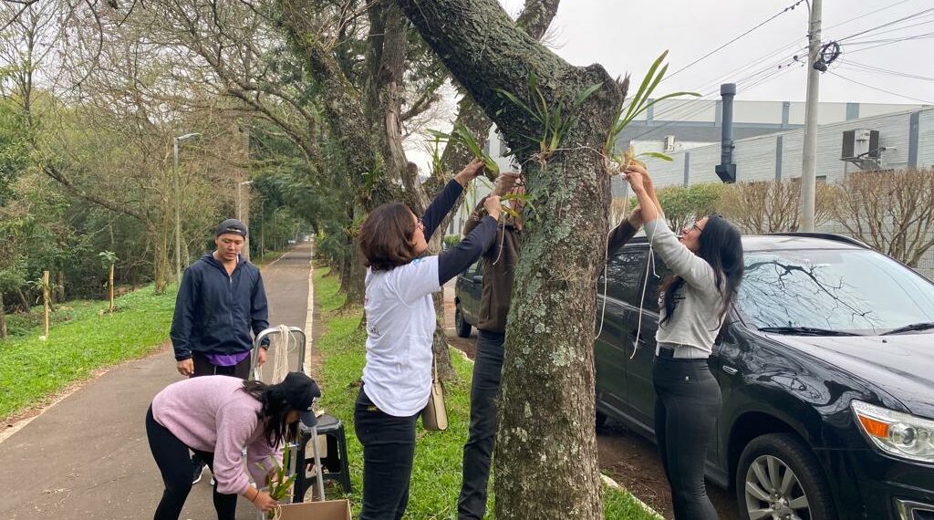 Orquídea Amor e Valor movimenta voluntários na manhã de sábado em Campo Bom