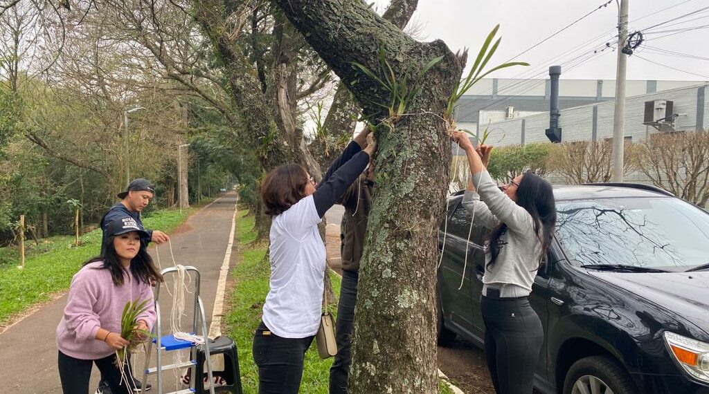 Orquídea Amor e Valor movimenta voluntários na manhã de sábado em Campo Bom