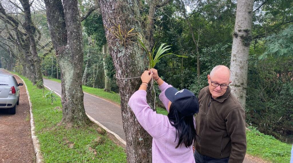 Orquídea Amor e Valor movimenta voluntários na manhã de sábado em Campo Bom