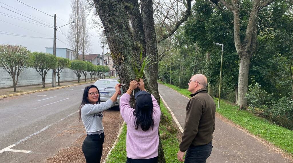 Orquídea Amor e Valor movimenta voluntários na manhã de sábado em Campo Bom