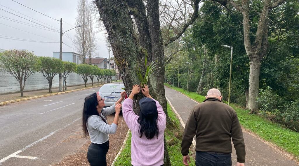 Orquídea Amor e Valor movimenta voluntários na manhã de sábado em Campo Bom