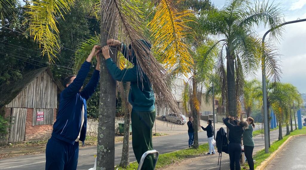 Orquídea Amor e Valor movimenta voluntários na manhã de sábado em Campo Bom