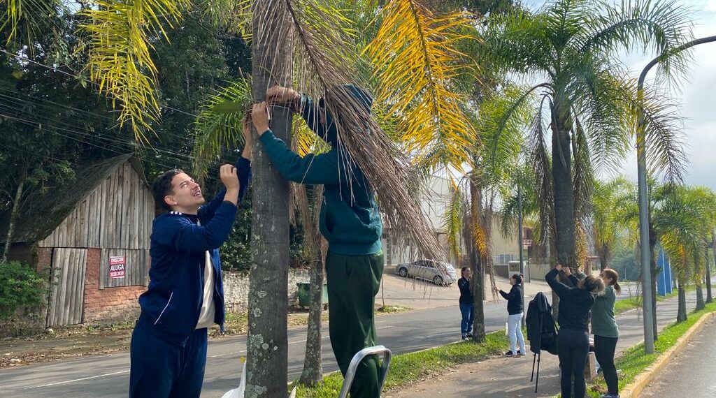 Orquídea Amor e Valor movimenta voluntários na manhã de sábado em Campo Bom
