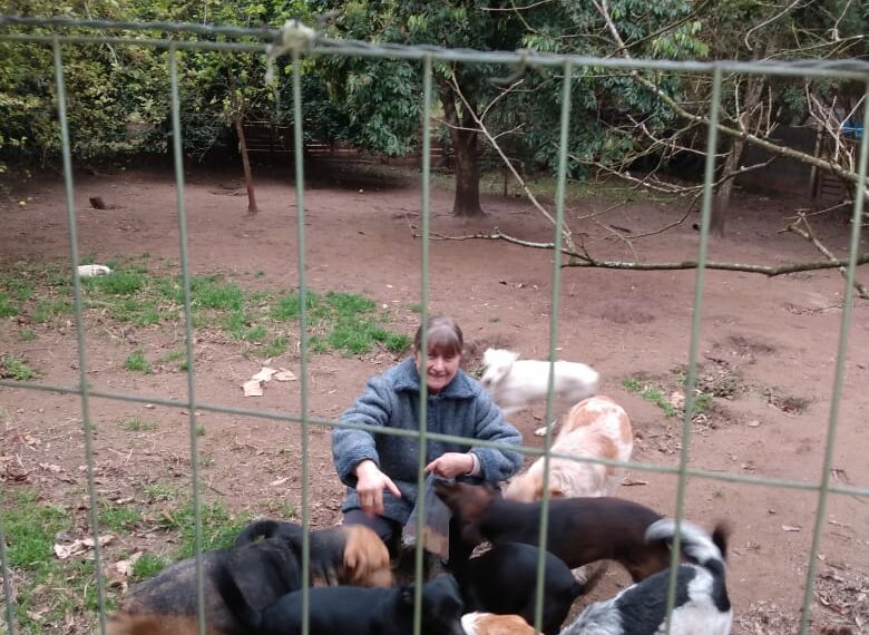 Amor pelos animais: venda de Pizza Solidária busca ajudar animais resgatados