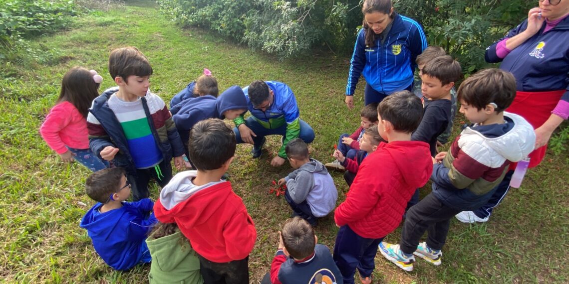 Campo Bom e Centro Ambiental unidos para qualificar a educação