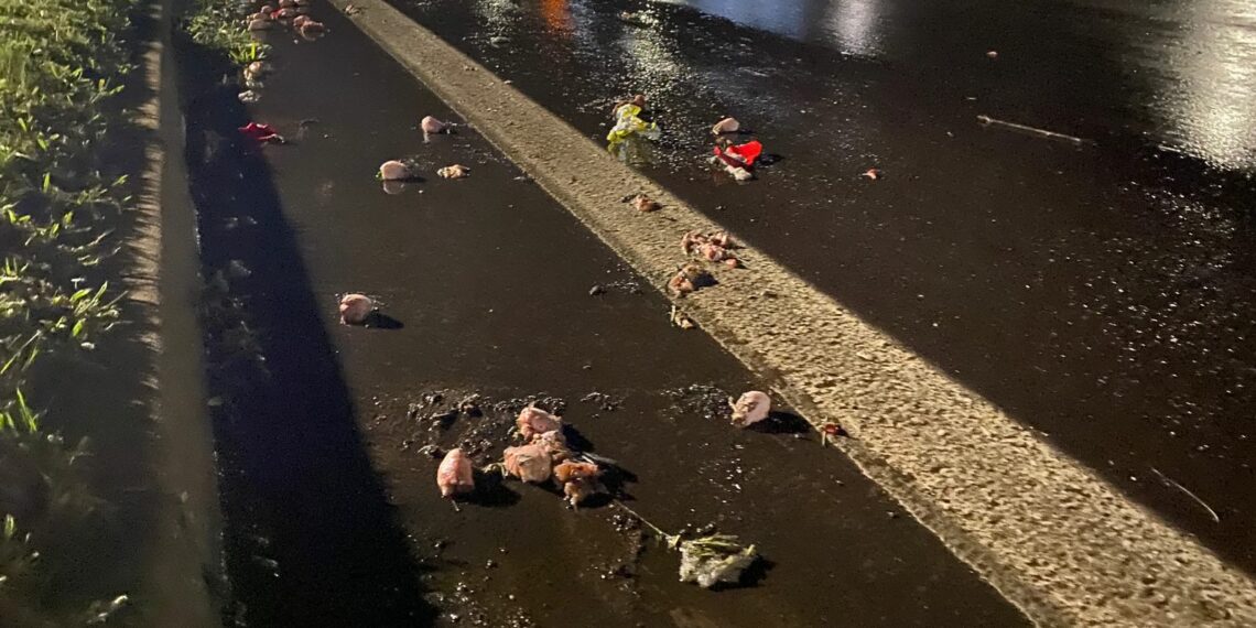 Motociclista e ciclista ficam feridos após acidente na RS-239 em Sapiranga
