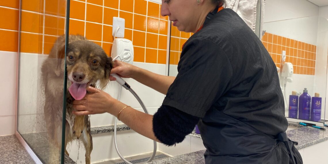 Referência no cuidado com seu pet, Campo Bom recebe unidade da Petland