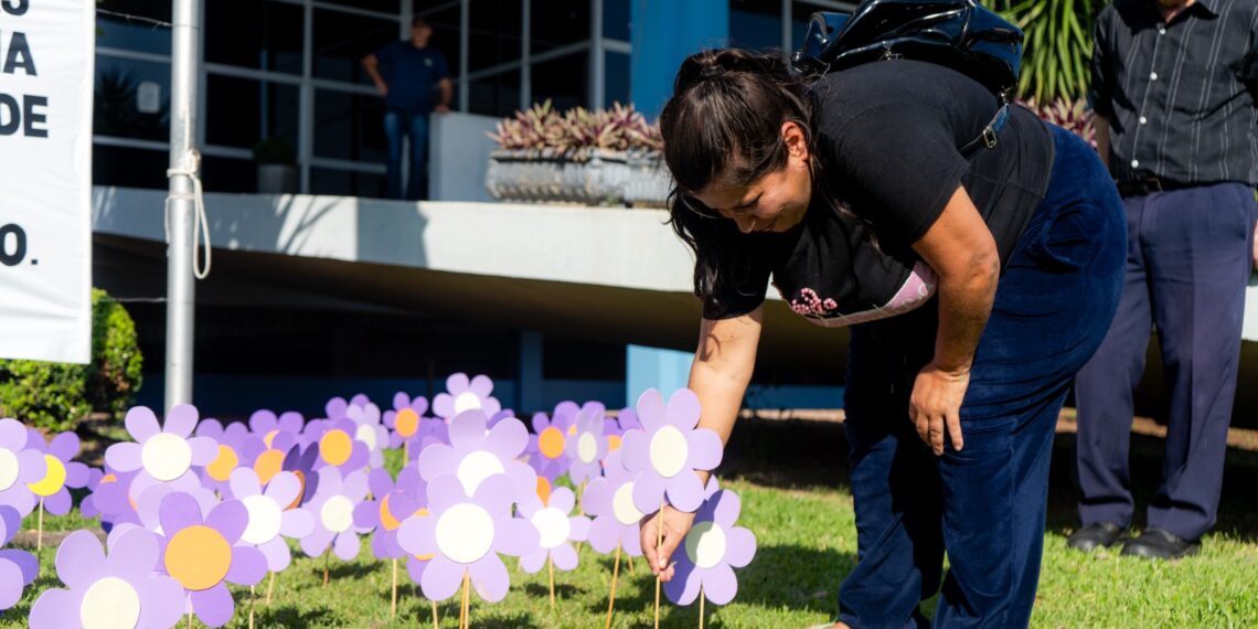 Campo Bom: jardim da prefeitura recebe decoração para conscientização sobre a violência contra a mulher