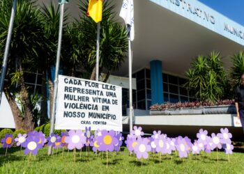 Campo Bom: jardim da prefeitura recebe decoração para conscientização sobre a violência contra a mulher