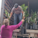 Produtores rurais de Sapiranga recebem mudas de plantas frutíferas