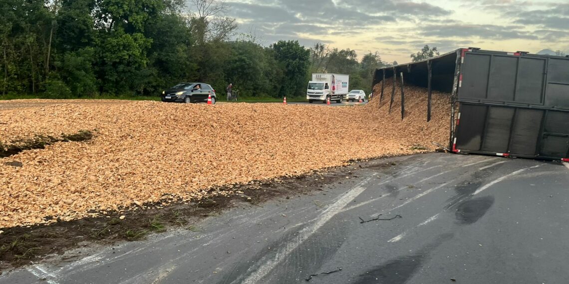 Carreta tomba na madrugada, carga se espalha e bloqueia RS-239
