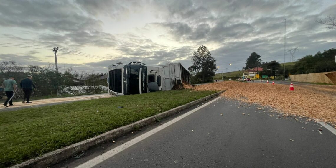 Carreta tomba na madrugada, carga se espalha e bloqueia RS-239
