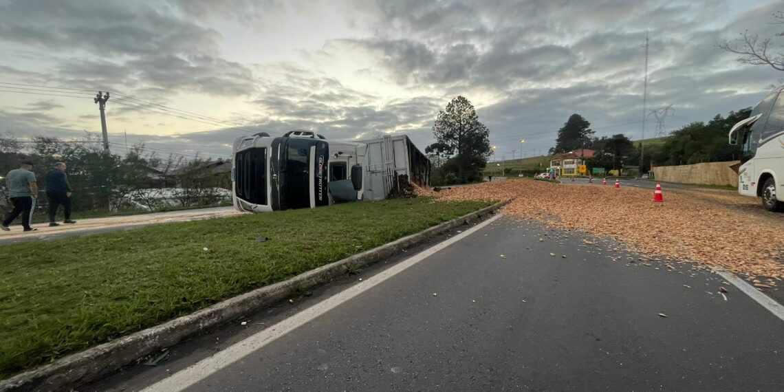 Carreta tomba na madrugada, carga se espalha e bloqueia RS-239