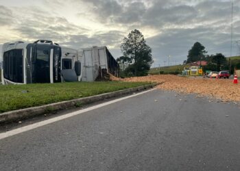 Carreta tomba na madrugada, carga se espalha e bloqueia RS-239