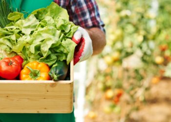 Nova Hartz promove a feira da agricultura familiar neste domingo (06)