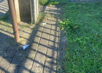 Suspeitos são presos por tentativa de latrocínio contra mulher em Sapiranga