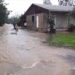 Moradores de Araricá sofrem com estragos da chuva e cobram ações