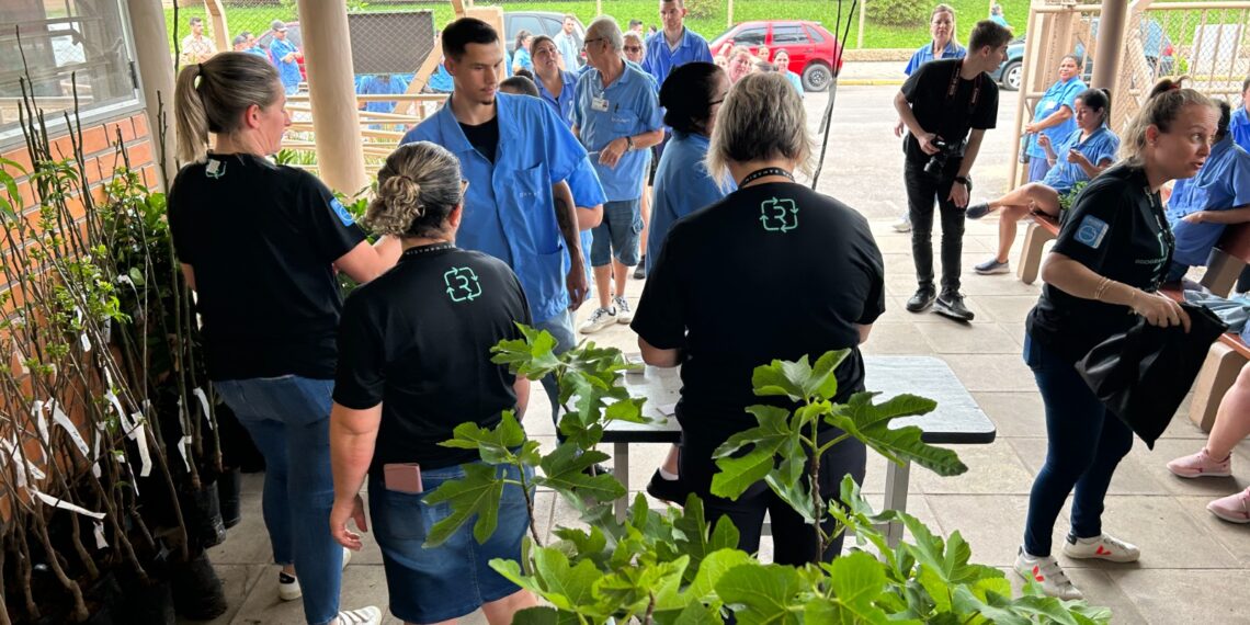 Grupo Ramarim doa mudas de árvores frutíferas, temperos e plantas medicinais para funcionários