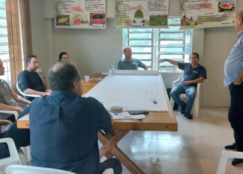 Emater/RS-Ascar passará a testar o uso de biounsumos na produção de melancia