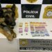 Polícia Civil de Sapiranga prende 4 pessoas em menos de 10 horas