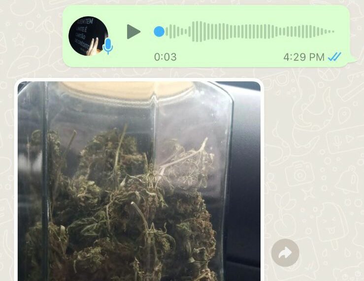 Facção responsável por entrega de drogas em Campo Bom e outras cidades é alvo de operação da Polícia Civil
