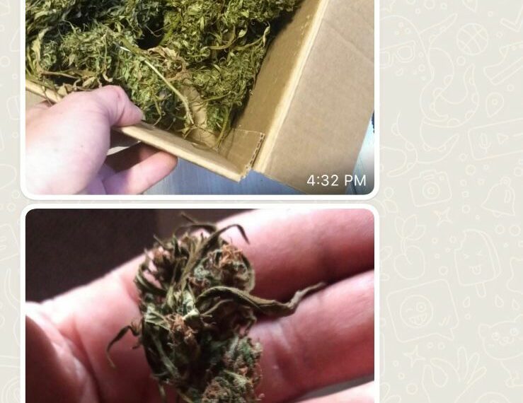 Facção responsável por entrega de drogas em Campo Bom e outras cidades é alvo de operação da Polícia Civil