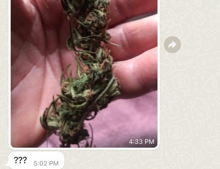 Facção responsável por entrega de drogas em Campo Bom e outras cidades é alvo de operação da Polícia Civil