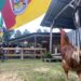 #Projeto Farroupilha: confira a programação e alguns “atrativos” do Parque do Imigrante